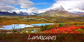 LandscapesGallery