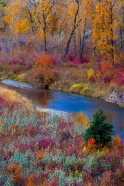 fish-creek-autumnv_1942