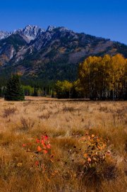 bow-valley-autumnv_3790-edit