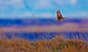 img_8413-edit-edit