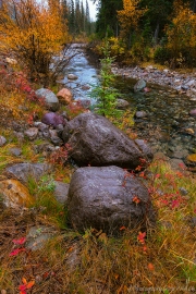 Maligne-River_Autumn_Jasper_V_1C1A0485