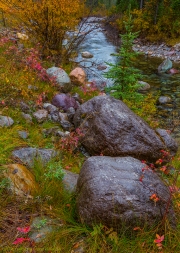 Maligne-River_Autumn_Jasper_Vertical_1C1A0517