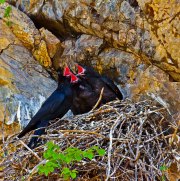 img_2945-edit