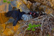 img_2936-edit