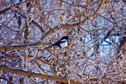 img_6158-edit