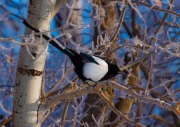 img_6177-edit