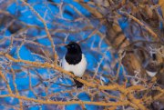 img_6187-edit