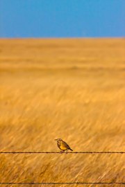 img_2671-edit