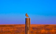 img_2845-edit