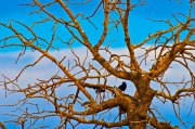 mg_0182-edit