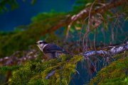 mg_7459-edit
