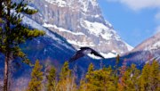 img_9938-edit