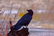 img_9970-edit