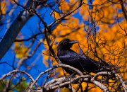 img_3049-edit