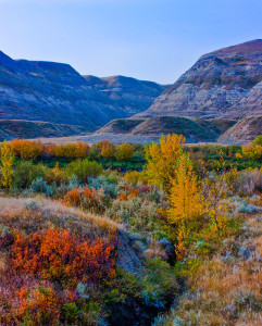 Red Deer River Valley Autumn